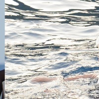 Rihanna was photographed snorkeling in Portofino